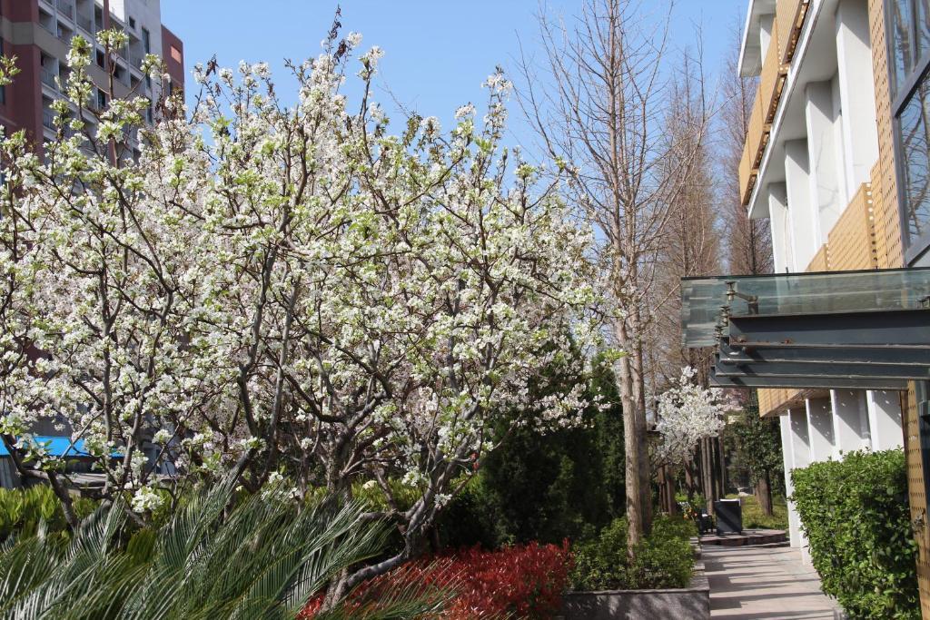 L'Otel Shanghai Bagian luar foto